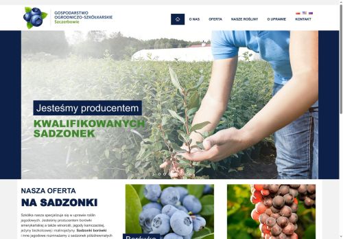 borowka.com.pl