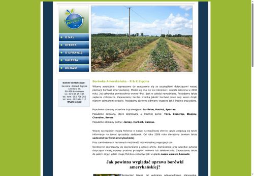 borowkalewikow.pl