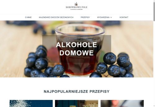 borowkowepola.pl