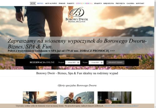 borowydwor.pl