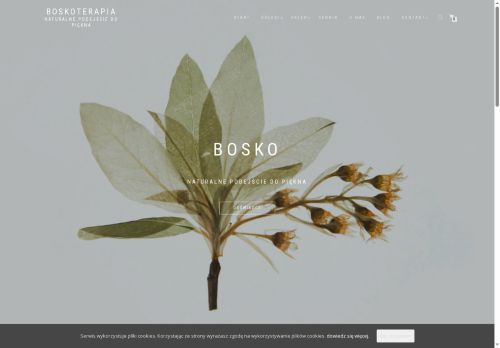 boskoterapia.pl