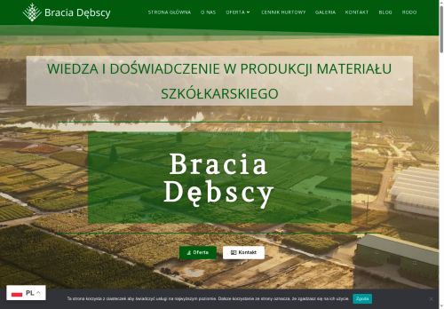 braciadebscy.pl