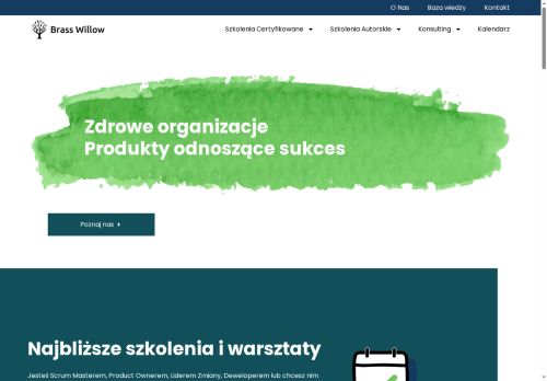 brasswillow.pl