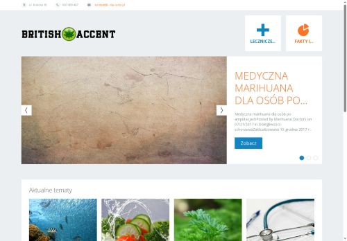 britishaccent.edu.pl