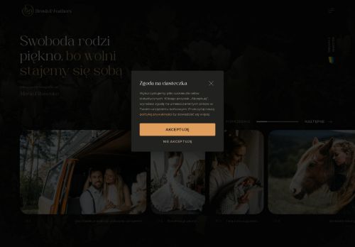 brushandfeathers.com