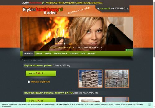 brykietkominkowy.pl