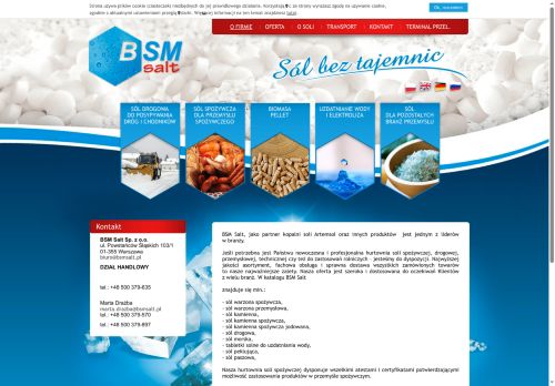 bsmsalt.com.pl