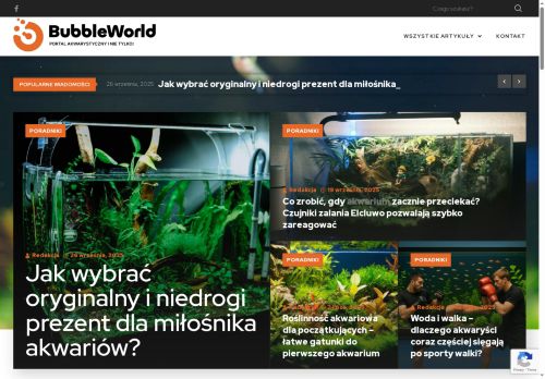 bubble-world.pl