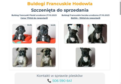 buldogi-francuskie.pl