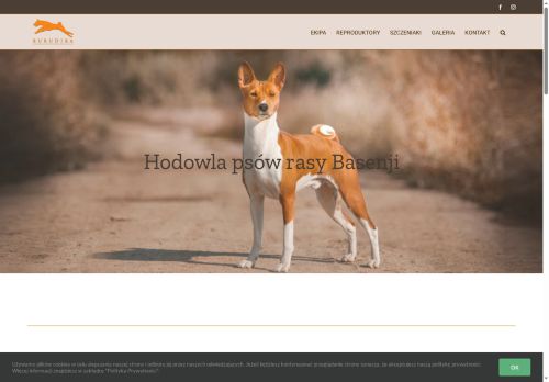 burudika.pl