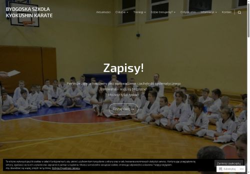 bydgoszczkarate.pl