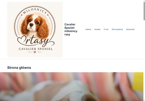 cavalierspaniel.pl