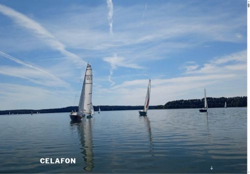 celafon.pl