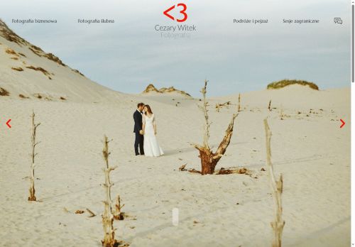 cezarywitek.pl