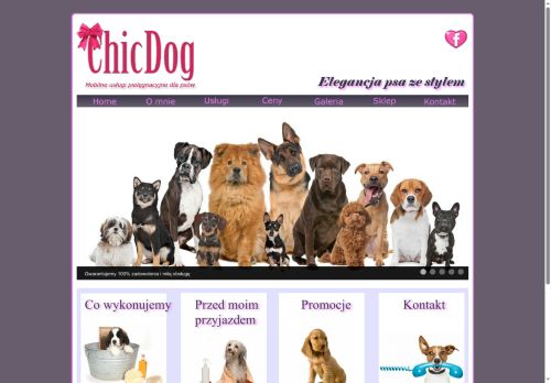 chicdog.pl