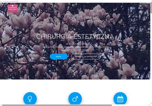 chirurgia-estetyczna.pl