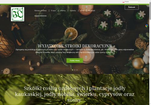 choinki-lasik.pl