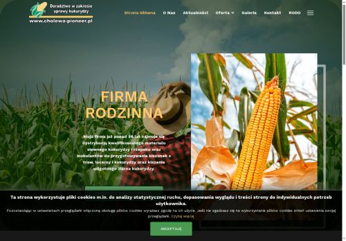 cholewa-pioneer.pl