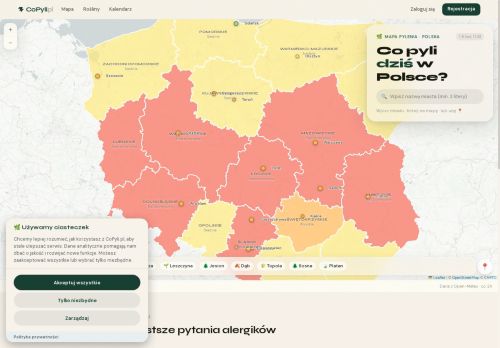 copyli.pl