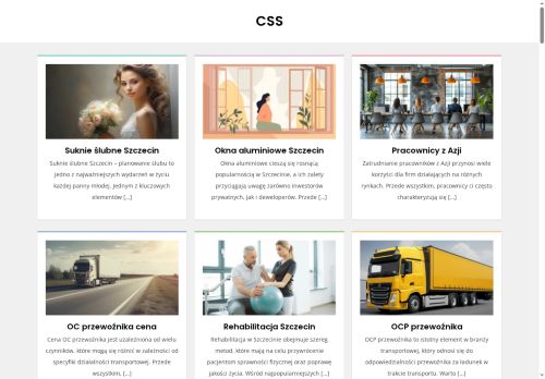 css.biz.pl