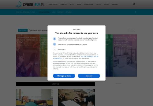 cyber-fly.pl