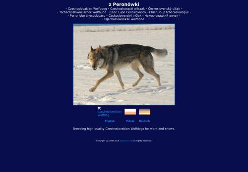 czechoslovakianwolfdog.com