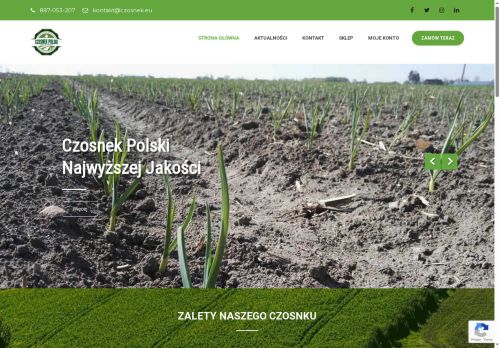 czosnek.eu