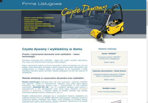czystedywany.eu