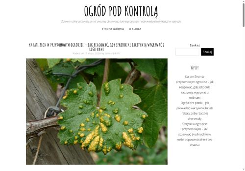 czyz.edu.pl