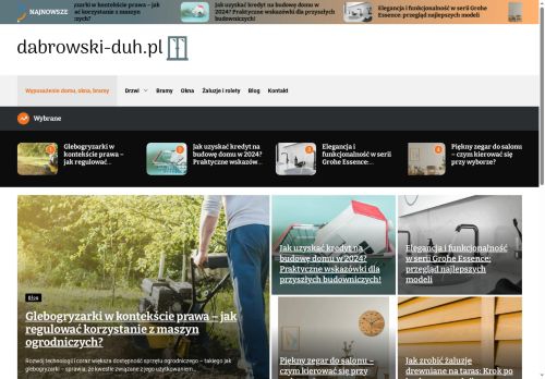 dabrowski-duh.pl