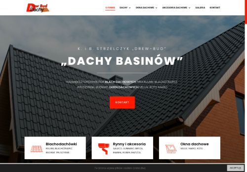 dachybasinow.pl
