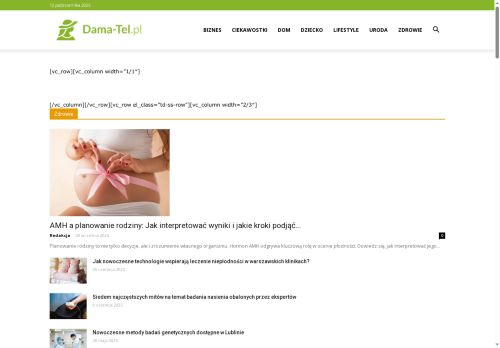 dama-tel.pl