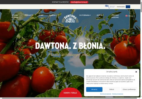 dawtona.pl