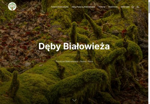 deby.bialowieza.pl