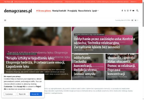 demagcranes.pl