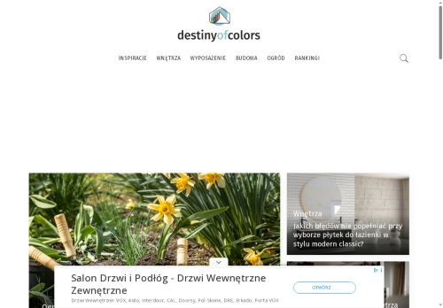 destinyofcolors.pl