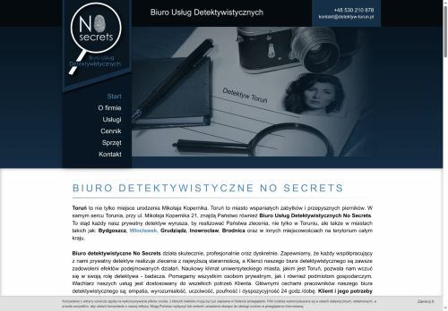 detektyw-torun.pl