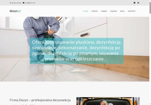dezyn.pl