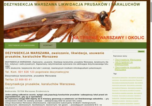 dezynsekcja-prusaki-karaluchy-warszawa.com