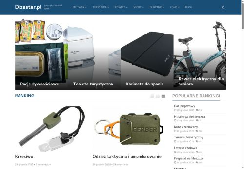 dizaster.pl
