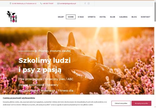 dogandyou.pl
