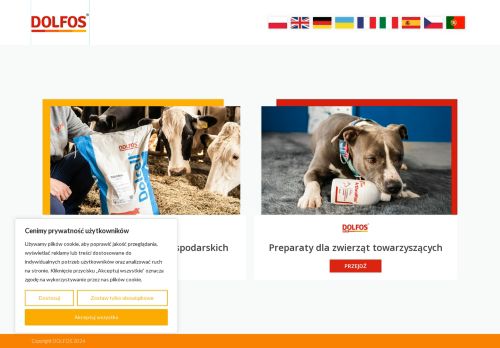 dolfos.com.pl