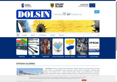 dolsin.com.pl