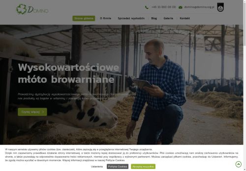 domino.org.pl