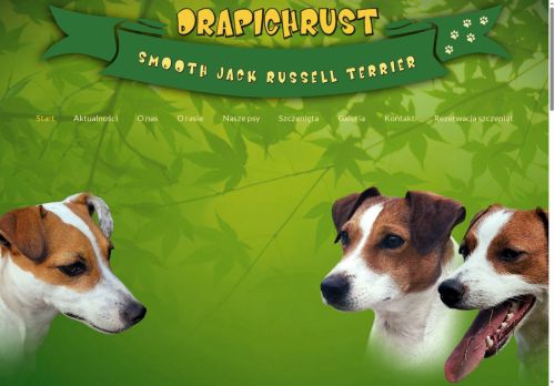 drapichrust.pl