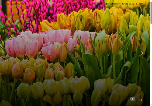 drzewaozdobne.com.pl