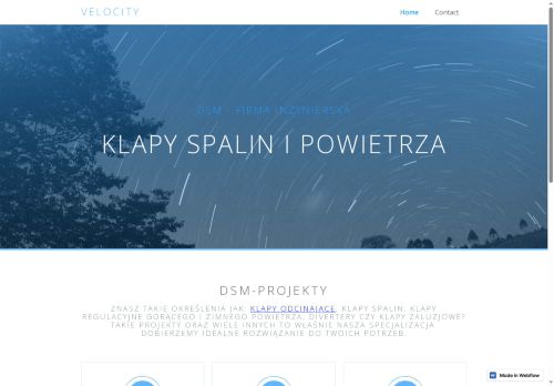 dsms-first-project.webflow.io