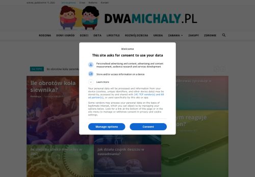 dwamichaly.pl