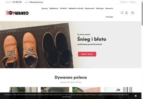 dywaneo.pl