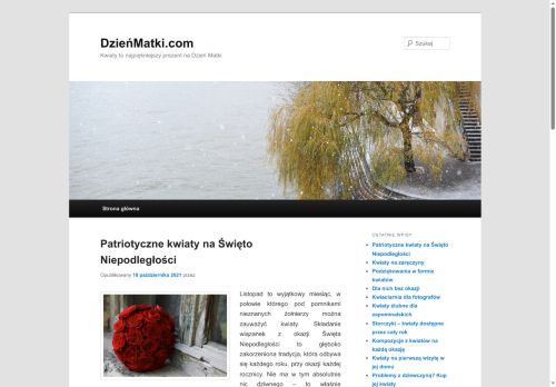 dzienmatki.com